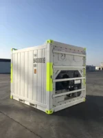 Contenitore Frigorifero DNV da 10 Piedi